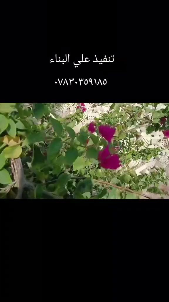 خدمات بناء • تجي لعندك