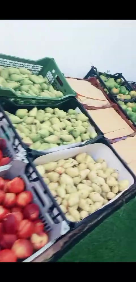 فواكه • خضار • توصيل حديثه