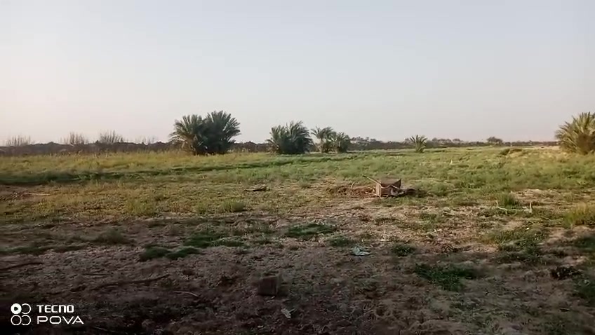 سلام عليكم
ارض زراعيه للبيع مساحته ٦دوم مع بيت يتكون البيت من غرف 2ومطبخ وصاله وديوانيه مساحت البيت 175۾

ام الارض كله زراعيه وبيه نخل عدد 165كل حمالات متوفر فيه كهرباء+ وماء اساله+ وماء سقي فرع من شط ابو دوانيچ على نهر كلش 

الموقع منطقة ساده الغوالب  للتواصل ***********
حبيبي شكد السعر المطلوب؟ وبي مجال للمساومة لو لا؟: 
85000000000وبيه مجال
الطابو شنو نوعه؟ مباشر باسمك لو وكالة/مراجعات، وبيه أي ملاحظات قانونية؟: 
لا زراعي باسمي
الموقع بالضبط وين؟ يعني القضاء/الناحية/القرية شنو، وكم تبعد عن الشارع العام؟: 
الشطره منطقة  ساده الغوالب عن شارع 500متر
النخل كله مثمر حاليًا لو بيه بعضه صغير/ضعيف؟ وشنو نوعه أو جودته؟: 
165مشكل كل مثمر
البيت على شنو مبني؟ بلوك لو طابوق، والسقف شنو نوعه؟: 
بلوك اعقاده