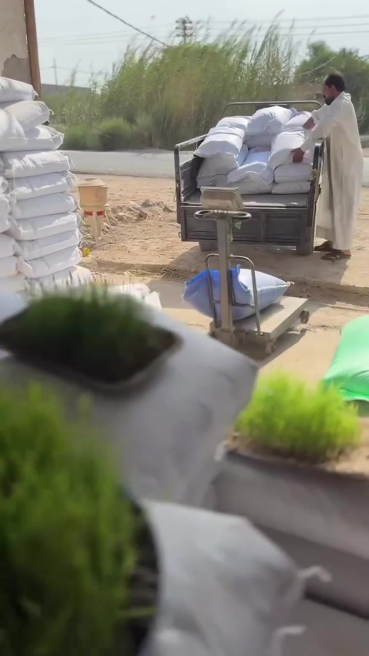 بذور • العباسية • أبو غرب