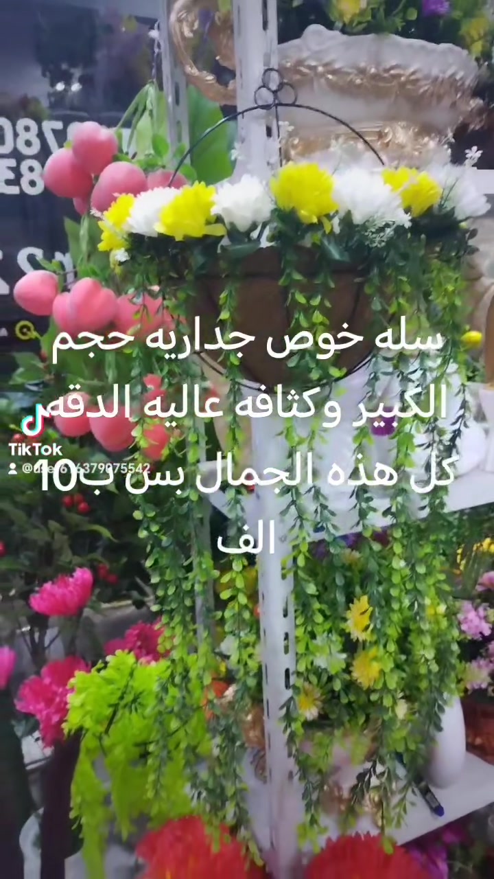 سلة خوص • حجم كبير • جدارية