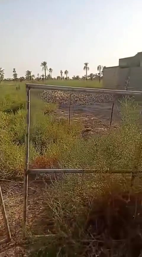السلام عليكم قطعه ارض المساحه ٨٥٠ متر 
تحويل بسمك مباشر كافه السهام 
عنوان الكاع كربلاء طوريج الرجيبه قرب جسر حي الصناعه 
مراجعه مكتب البراق للعقار  عنوان المكتب طوريج شارع ٤٠ 
مقابيل الطابو بصف ماهر ابو المسجلات 
حيدر *********** 
باسم ***********
