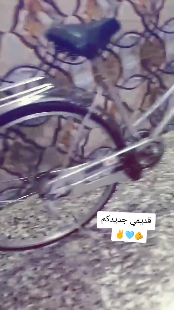 باسكل • كامل • مراوس