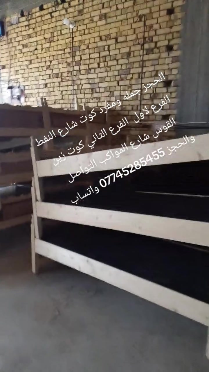 كوت • شارع النفط • شارع المواكب