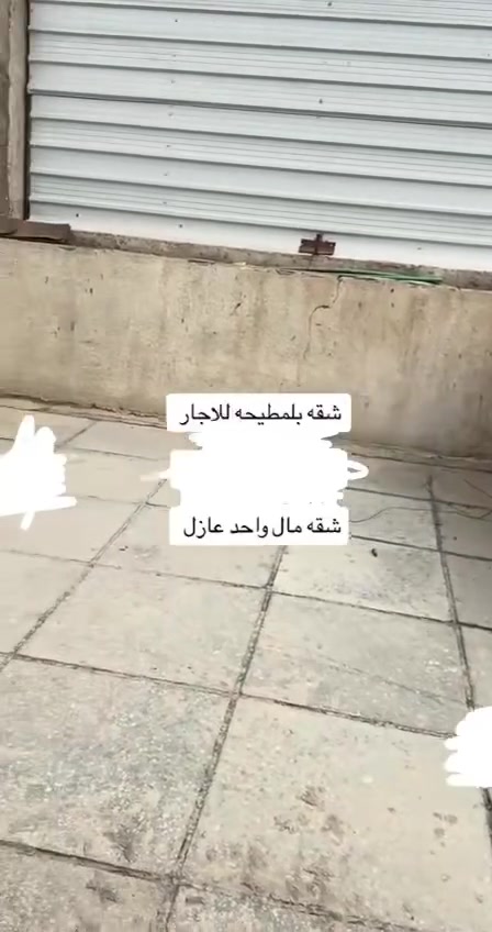 للإيجار
شقه طابق اول في مطيحه ضمن بيت درج معزول يحتوي على غرفتين نوم وصاله ومطبخ وصحيات سعر إيجاره 350 قفل مع ملاحظه تم تعديل الشقه 
***********
