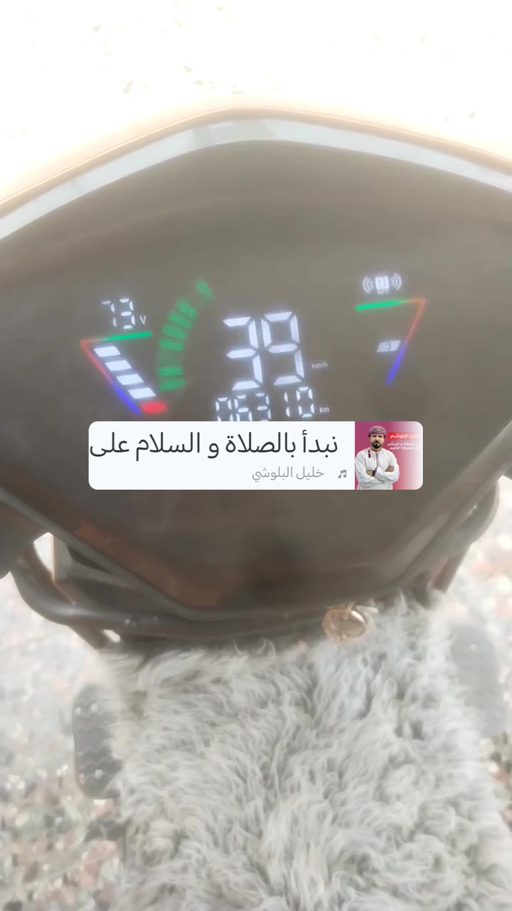 دراجة شحن • سكنس • ٢٠٢٥