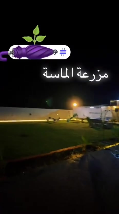 متوفر اليوم مساء بعيثه التواصل على هاذا رقم ***********
