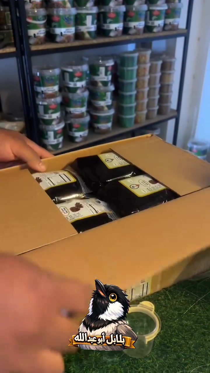 متوفر الآن 🌿🐦

🔸 عجينة التمر 
🔸 📍 النجف – الكوفة
🚚 توصيل متوفر لجميع محافظات العراق 🇮🇶

📲 للتواصل والطلب: ***********

#بلابل_أبو_عبدالله #سيرلاك_الحشرات #السوبر_ديلوكس #بلابل #طيور #طيور_العراق #مستلزمات_الطيور #تربية_الطيور #النجف #الكوفة #العراق #اكسبلور #ترند #تيك_توك
