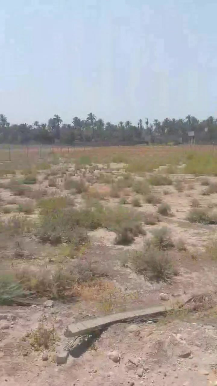 دونم طابو زراعي سند 25 تحويل مباشر طوريج ام الهوى الرغيله كافه الخدمات متوفره ماء كهرباء تبليط السعر 140 مليون

***********
