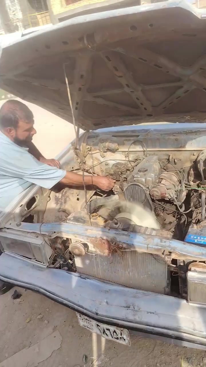 مكلف بالنشر • الشطره