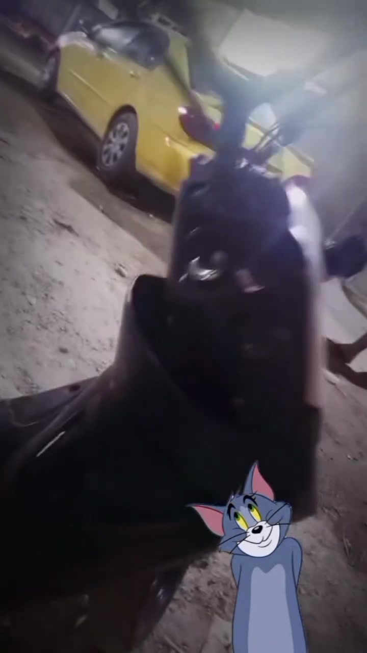 ماكس • نضيفة • مالعبت
