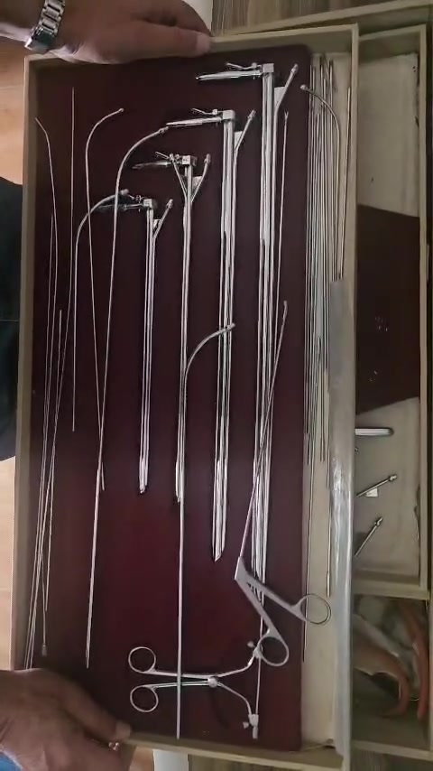 سيت ناظور • حنجرة • قصبات هوائية