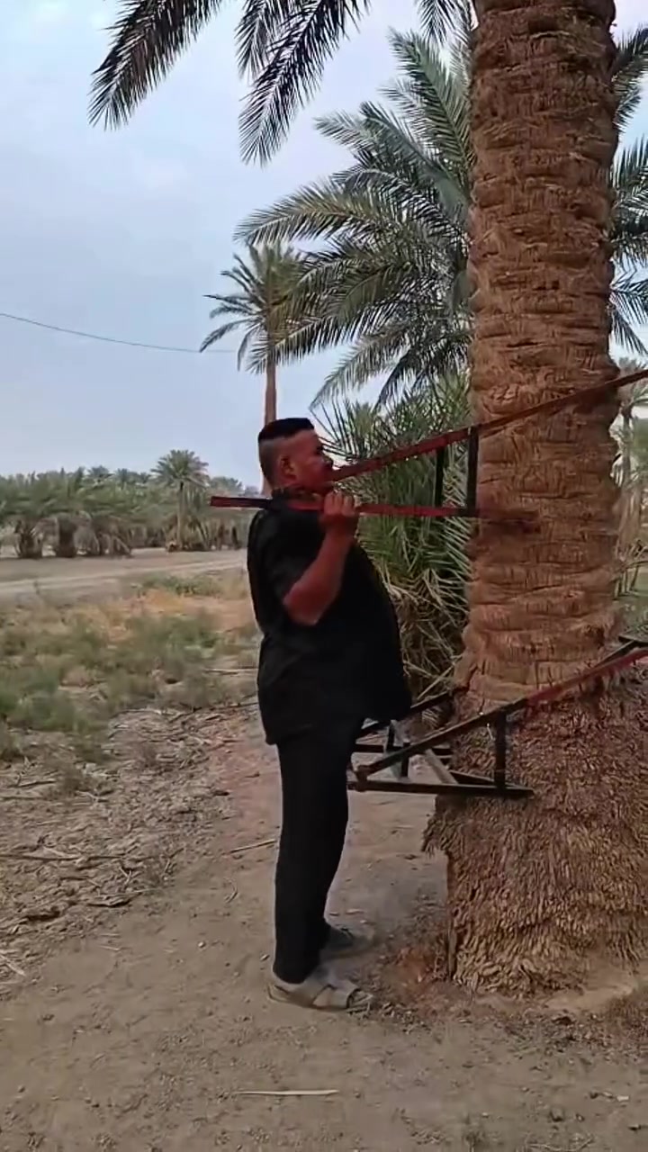 صاعودة • نخل • حديد تركي