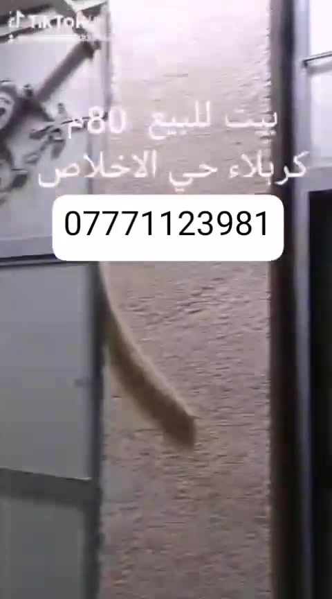كربلاء حي الاخلاص • ٨٠م • غرفتين