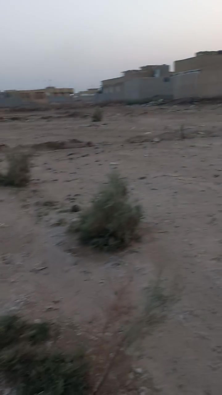 الشطره • ٢٠٠م • للبيع