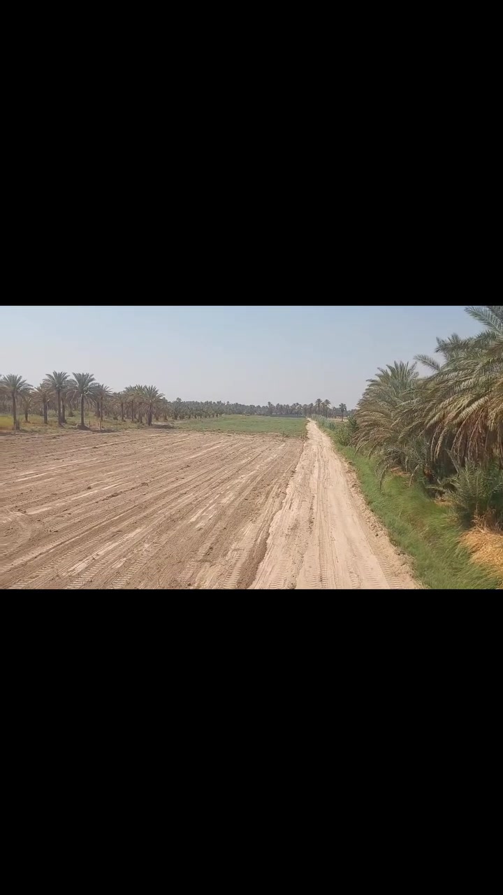 حياكم الله متابعينا  عرض هذا اليوم

  دونمين للبيع سند 25 ارض زراعيه خصبة نهر ماء سقي كهرباء

 ماء اساله  شارع مصمم ومفصل  شاليهات  عرض الشارع 6 متر

 بدايه الشارع تبليط ونهايته تبليط يعني شارعين يجيبنك ع ارض

           ومثل ماعودناكم ما نخفي السعر ونكول 

              ع خاص اول علق  ويجيك السعر

سعر الدونم الواحد  {85} مليون   منطقه عشائر بني حسن

تبعد عن مرقد الامام الحسين عليه السلام  14 كيلو متر

الاستفسار مراسلة او اتصال ***********
عقارات الموسوي
