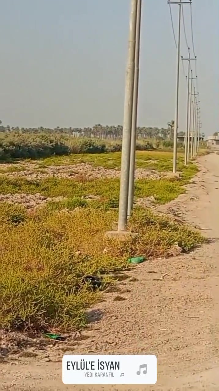 ٢ دونم • طابو زراعي • الشهابي الاولى