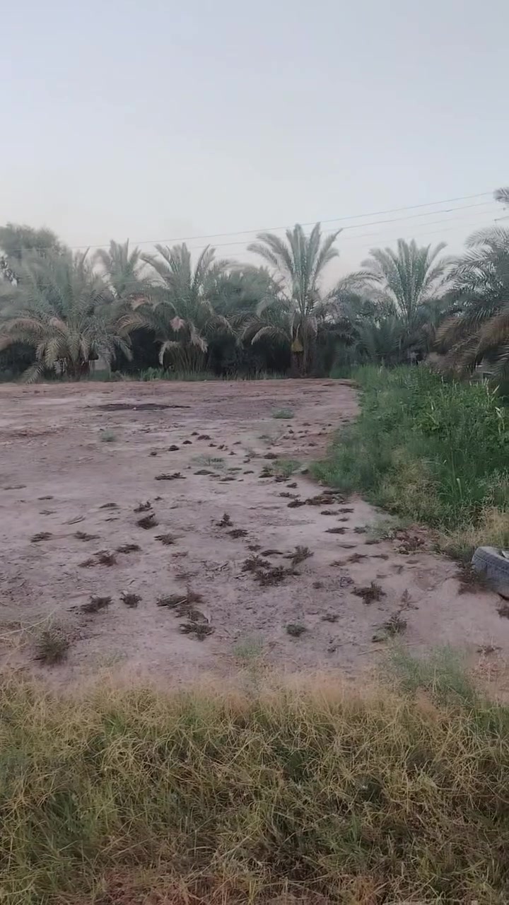 كربلاء • ٧ دونم • تجاري