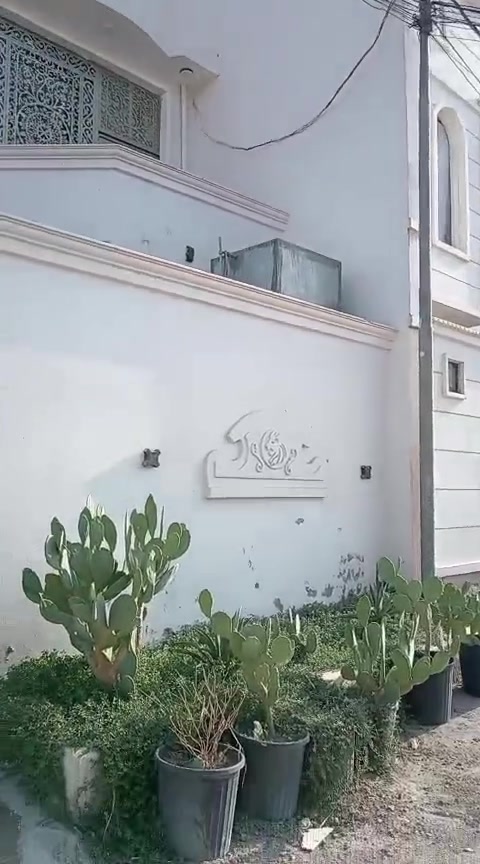 نزلة شراع • ١٥٠م • ٤غرف