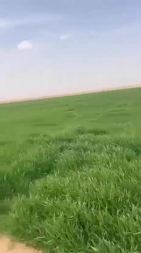 بادية النجف • ٨٠دونم • مولدة غطاس ١٠٠حصان