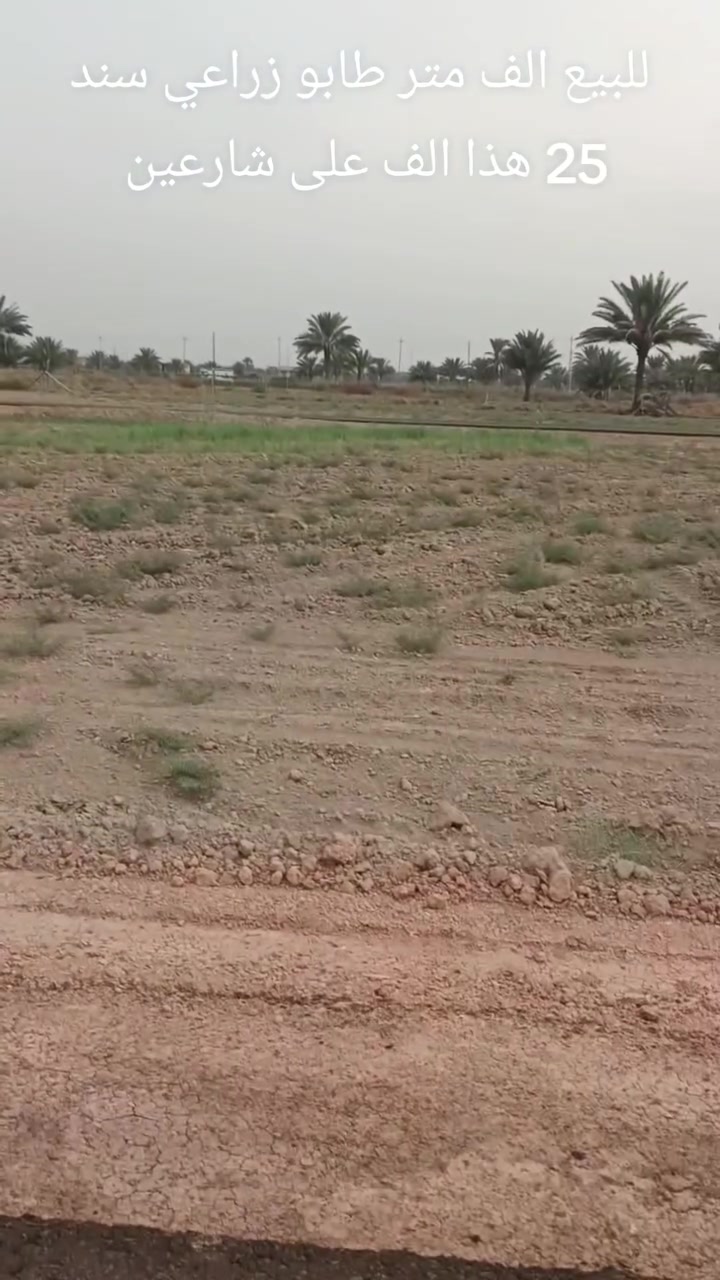 طابو زراعي • ١٠٠٠م • سند ٢٥