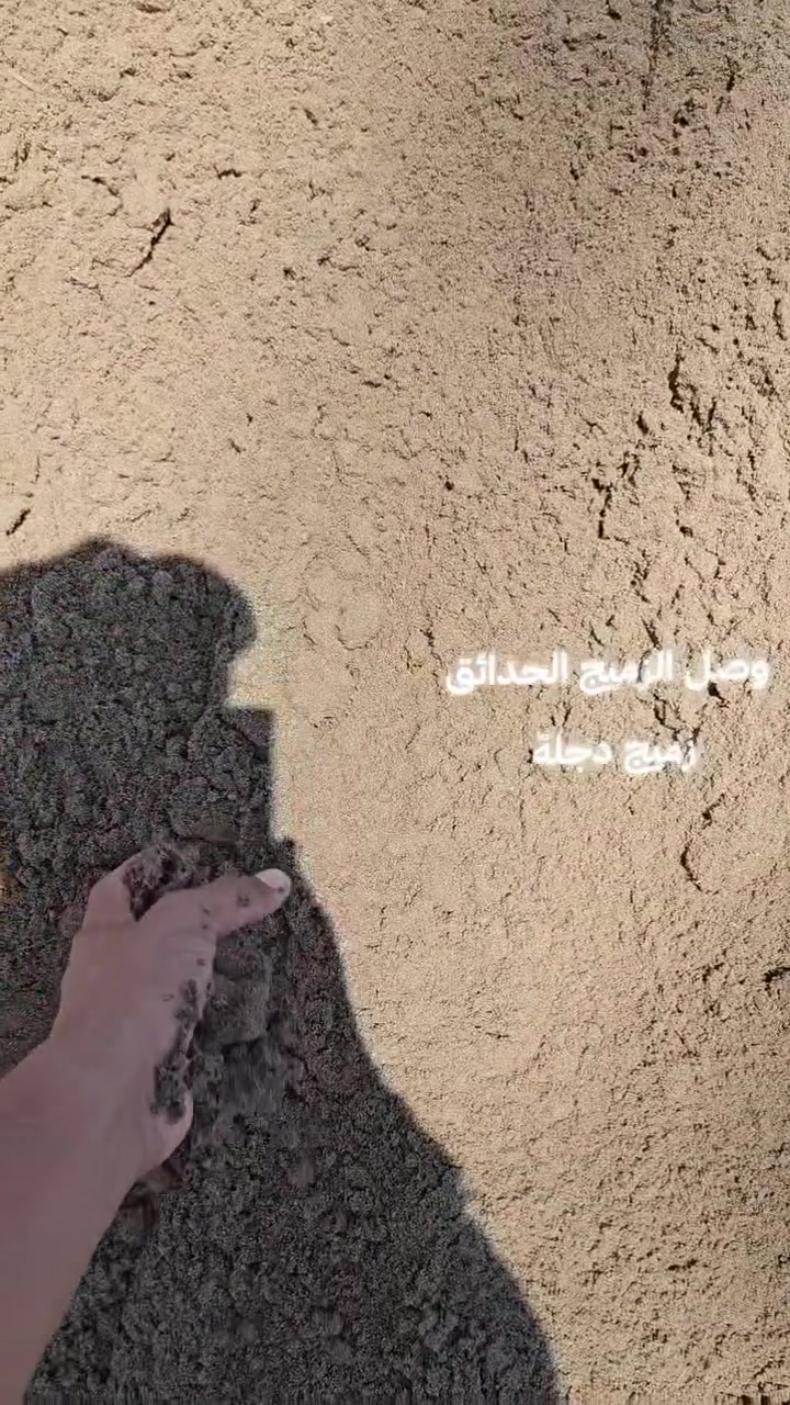 سلام عليكم وصل زميج دجلة للحدائق زميج فول عندي توصيل كل انحاء بلدروز ***********

