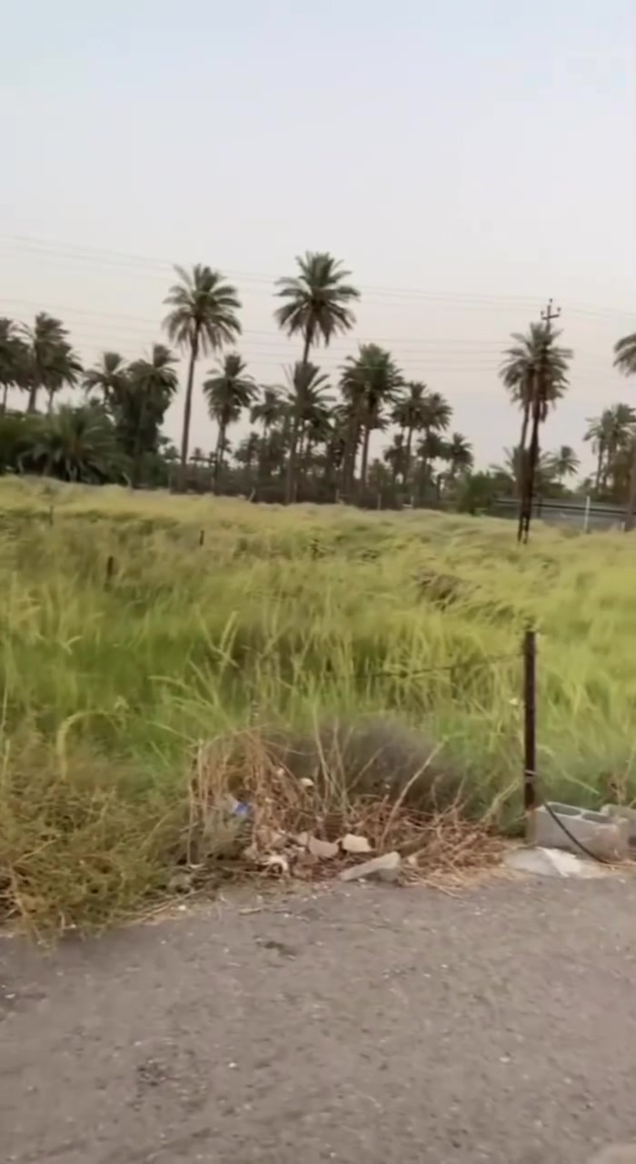 السلام عليكم قطعة ارض للبيع ٢٠٠ متر صايره على شارعين كدام جزيره بغداد السياحيه منطقه المعرجان سند ٢٥ القطعه صايره على شارعين يعني زنجيل للاستفسار***********
