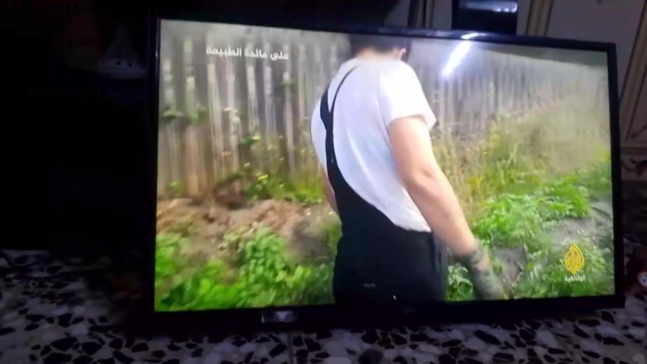 بيع بلازمه عدد٢ حجم٣٢اسمه الوادي والثانيه سامسونك  وياها ستلايت نت سعر الوادي ٥٠ وسامسونك ٧٥ مكان الغزاليه الفروسيه البكريه يم جامع البكريه رقم ***********
