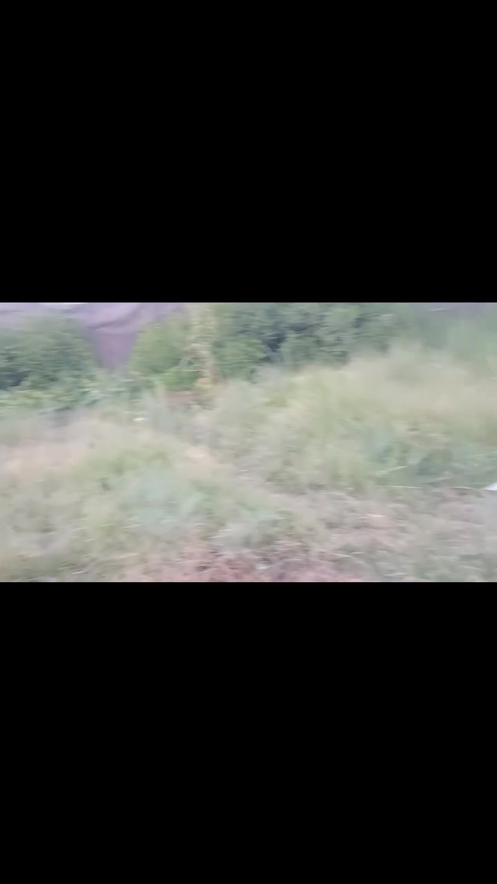 عرصه للبيع مكانها على طريق السنيه معمل الشعب حي العامل يم مجمع الملكي  مساحتها 250 متر طابو زراعي واي استفسار هذا الارقام التاليه***********
‏‪‪***********‬‬‏
