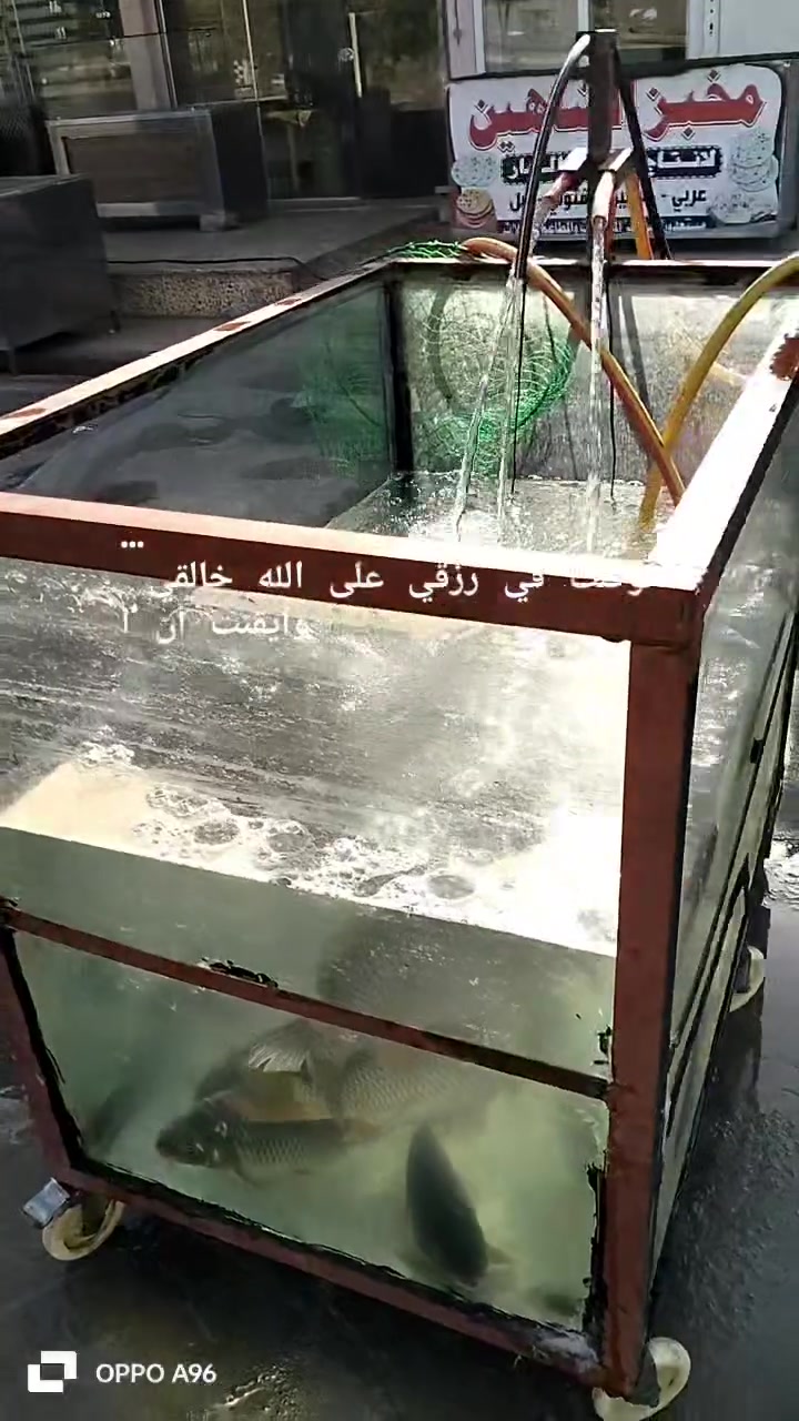 🔥🐟 عرض خاص الجمعة والسبت من أسماك الميثاق 🐟🔥
تشتهون سمك مسكوف على أصوله؟ 🤤🔥

طعم لذيذ… تتبيلة مميزة… وشوي على الفحم بطعم ما ينوصف! ❤️‍🔥

💥 كيلو السمك المسكوف بـ 7,000 دينار فقط 💥

🌹خدمة توصيل 🌹🌹

🐟 جودة وطعم يخلّيك ترجع مرة ثانية

🔥 مسكوف حار وطازج

😋 جرّب الطعم… واحكم بنفسك!

📍 العنوان: الموصل – سايدين ميثاق – وحدة، قرب مطعم دجاج الأيهم

📞 للطلب والاستفسار:

***********

***********

📲 اتصال أو واتساب

❤️ أسماك الميثاق… نورتونا وتشرفونا ❤️

#أسماك_الميثاق #مسكوف #سمك_مسكوف #الموصل #عرض_خاص #سمك_مشوي #موصل
