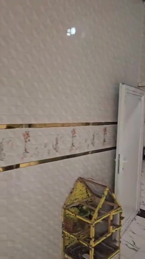 🏠 بيتين للبيع – موقع تجاري 
📍 الموقع: سايدين العلوة الجديد

📐 المساحة: 250 م²

📄 بلدية زراعي

✨ فول سيراميك.. ثنينهن نفس الخارطة ونفس الترتيب 

🔹 البيع للبيتين معًا، أو إمكانية شراء بيت واحد فقط حسب الرغبة.

📞 للاستفسار والتواصل:

***********
