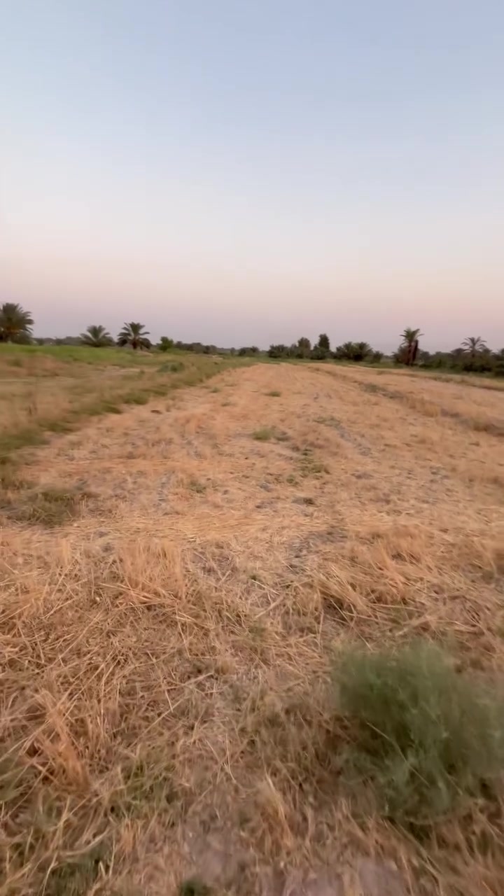 يالله السلام عليكم
🌴 للبيع أرض زراعية مميزة 🌾

المساحه : دونم وربع 
المساحة الكلية: 3125 م²
ارض جاهزه للسكن او زراعه يتوفر بيها
كهرباء وماء بالاضافه إلى قريبه على 
شارع تبليط مسافه 100 متر أو اقل 

📍 الموقع ابي غرق _ الرغيله _ منطقه زغيب 
📞 للاستفسار : ‭***********‬ / ‭***********‬

