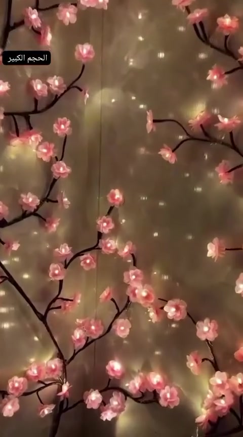 توفرت من جديد
نشره ضوئيه جداريه💗

على شكل شجره ورد✨

تنطي جمالية و انارة رائعة
 و تركيبها بسيط جدا

الحجم الكبير 3متر✔️

بصره 3محافظات5
