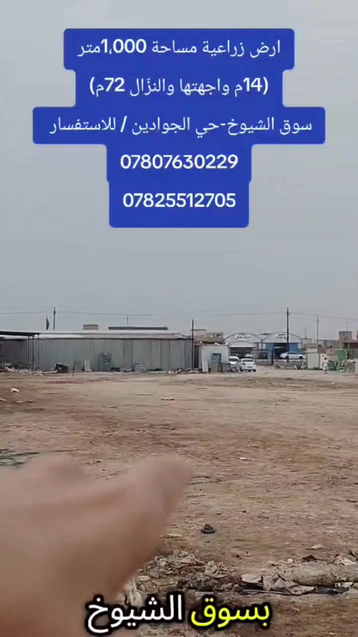 سوق الشيوخ • حي الجوادين • ١٠٠٠م