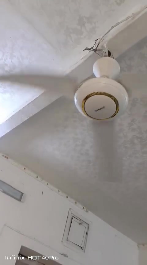 بنكه • سونيا • ٢٥