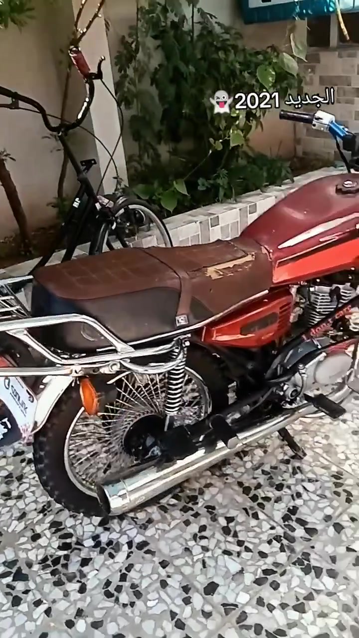 شرط صبانه مو مظروب فيلس ما مفيلس السعر 600 رقم وتساب ***********
