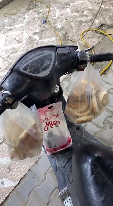 عبدالله دلفري حر في خور الزبير📍🛵🛵
للتواصل واتساب ***********
انستكرام تلكون بي كل تعاملاتي 

https://www.instagram.com/vovszs?igsh=MWo4d2RrNnByM3dwcg%3D%3D&utm_source=qr

متواجد من 9 صباحا ولغاية 12 ليلا بخدمتكم 
🍎مسواك وأغراض منزلية
💊أدوية ومستلزمات طبية🏥
🗄️أمانات وأغراض خاصة
أسلوب وتعامل طيب 
سرعة ودقه وأمان

