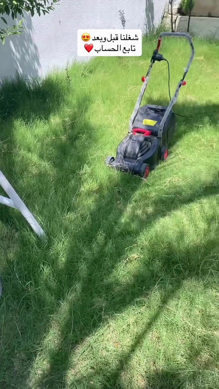 المهندس احمد 👷 لعمل وترتيب الحدائق🏞️🧑🏼‍🌾 تابع الحساب ❤️

اليوم حديقتنا صارت بهذه الجمال شوفو شون كانت شون صارت اكيد المميز يمنا بس🤍😌 كل الي عليك تتصل على الأرقام التأليه *********** او *********** او المراسله على الخاص #المهندس #الموصل #الموصل_أم_الربيعين #نباتات #نباتات_منزلية
