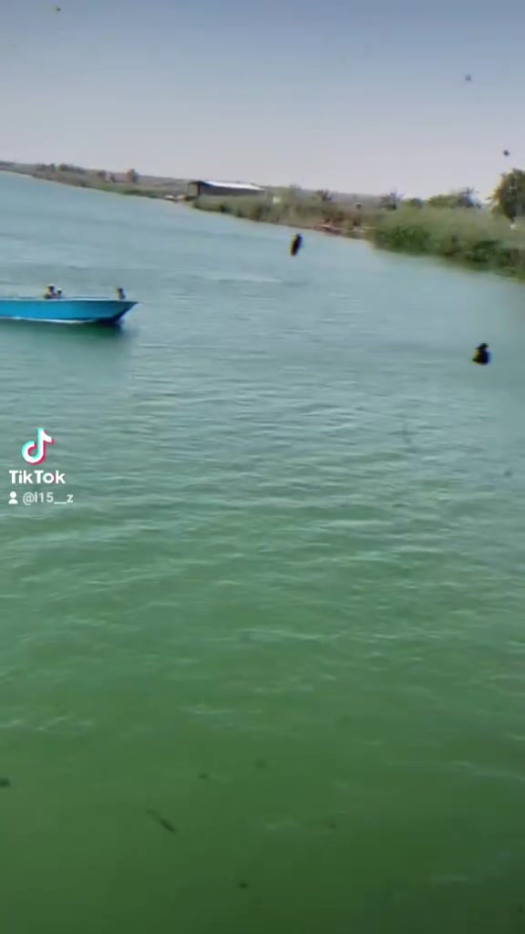 مرخصت ادمن 
زورق فايبر كويتي مكينه ياماها 115نضيفه مكفوله
6الطول 2العرض نشر بسبب وعود كذبه
البصره الطوبه و النخيل زورق عل كورنيش 
***********سعر خاص بي خير ويدلل اتصل 
وتساب بي فوت 50لتر باتري جديد باور خير من الله
سقيفه غطاس حجم وصط

