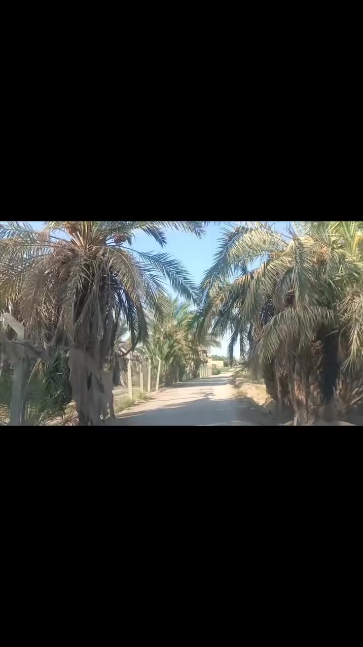 دونم • الامام المهدي • سند 25