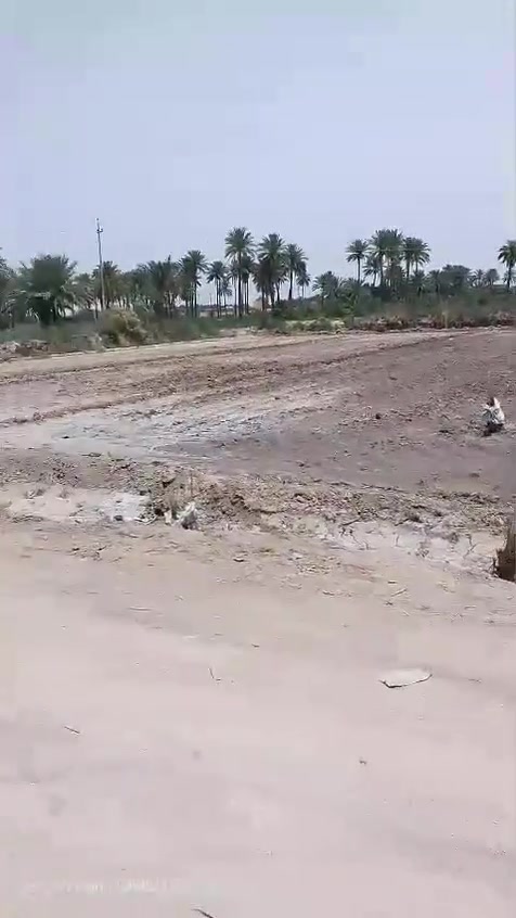 عرض لا يفوت لمن يبحث عن السكن والزراعة بمكان جميل ومتوفر كافة الخدمات وماء للسقي 

🌾 للبيع | 7 دوانم مع بيت كبير جاهز ومؤثث
📍 الموقع: الكفل شارع ام نعجه قرب 
يبعد عن الشط 900 متر

📐 المساحة: 7 دوانم
🏡 بيت جاهز ومؤثث يحتوي على 4 غرف، مطبخ، استقبال، صالة 12متر، وحمامات داخلية وخارجية.
🌱 الأرض مزروعة حنطة وشلب سيح، وتسقى من جهتين.
💧 برينة ماء حلو شغالة
📜 عقد 117

🔥 السعر مناسب جداً
📞 للاستفسار والتفاصيل تواصل معنا خاص
 أو الاتصال ***********
