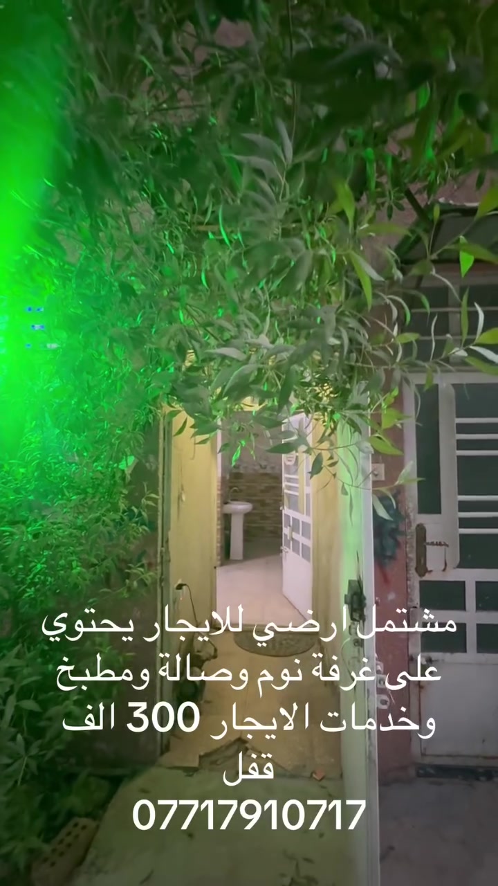 ايجار • غرفة واحدة • لا تفاصيل
