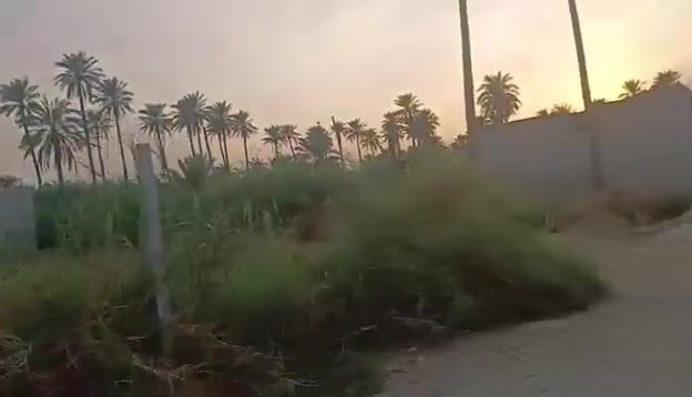 بدر الكصاب • ١٠٠م • ١٠×١٠