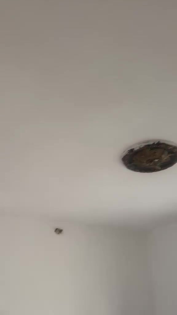 بيت ركن للبيع يتكون من
غرف ثنين
صاله
مطبخ
وستقبال
 قضاء النصر بحي الزهور  قرب ابيت سيد سلطان المساحه 250 موجوده كافت الخدمات السعر 33وبي مجال لشراي  وباقي الاستفسار على هذه الرقم بي واتساب ***********

