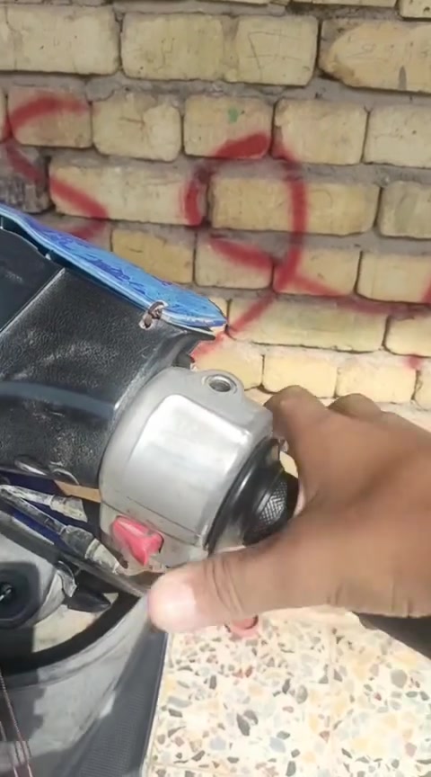 ذبانه • عصفوري