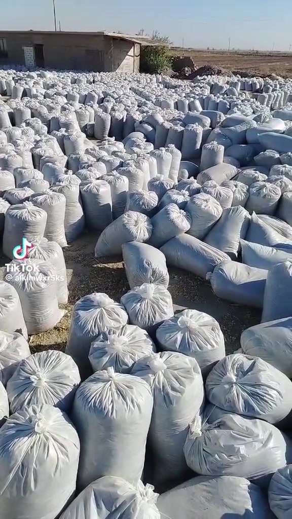 🌱 سيلاج عالي الجودة لمواشيك 🐄🐑
غذاء غني ومفيد يساعد على تحسين صحة ونمو المواشي، مع جودة مضمونة وسعر مناسب.
📦 متوفر الآن — اطلب كميتك ووفّر على علفك!
العنوان الديوانيه قضاء عفك الشارع العام
 قرب محطة وقود جنة عفك الاهليه
📞 للتواصل والطلب: ((***********))

