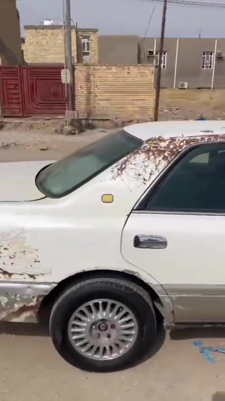 راس الثور • ١٩٩٥ • رقم بغداد