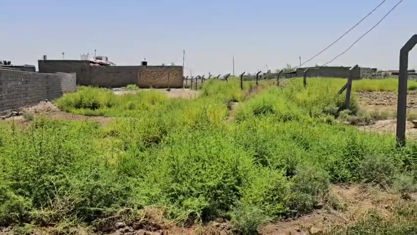 السلام عليكم كاع زراعية للبيع خلف طاقة الكهرباء قريبة على طريق الزوار 500م عن طريق الزوار المساحة 500م مربعة شارعها 10م مسيجة يتوفر كافة الخدمات ماء كهرباء مولدة قريب عليها العنوان ديوانيه قريبه الخدمي الجديد خلف الطاقه قريبه على نزل السامي   السعر 10بيه مجال *********** اتصال عل رقم
