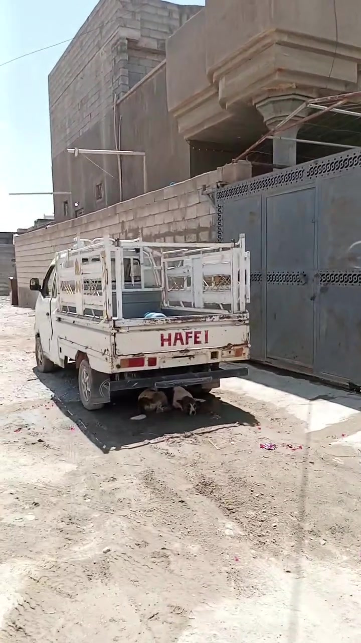سلام عليكم اخوان بيت طابقين معروض للبيع يتكوان دواني +استقبال +3غرف نوم +مطبخ +حمام داخلي او حمام خارجي مساحه 300.   المكان حي الامين مقبيل مشروع الماء باقي التفاصيل اتصل ***********       ادامن حبي
