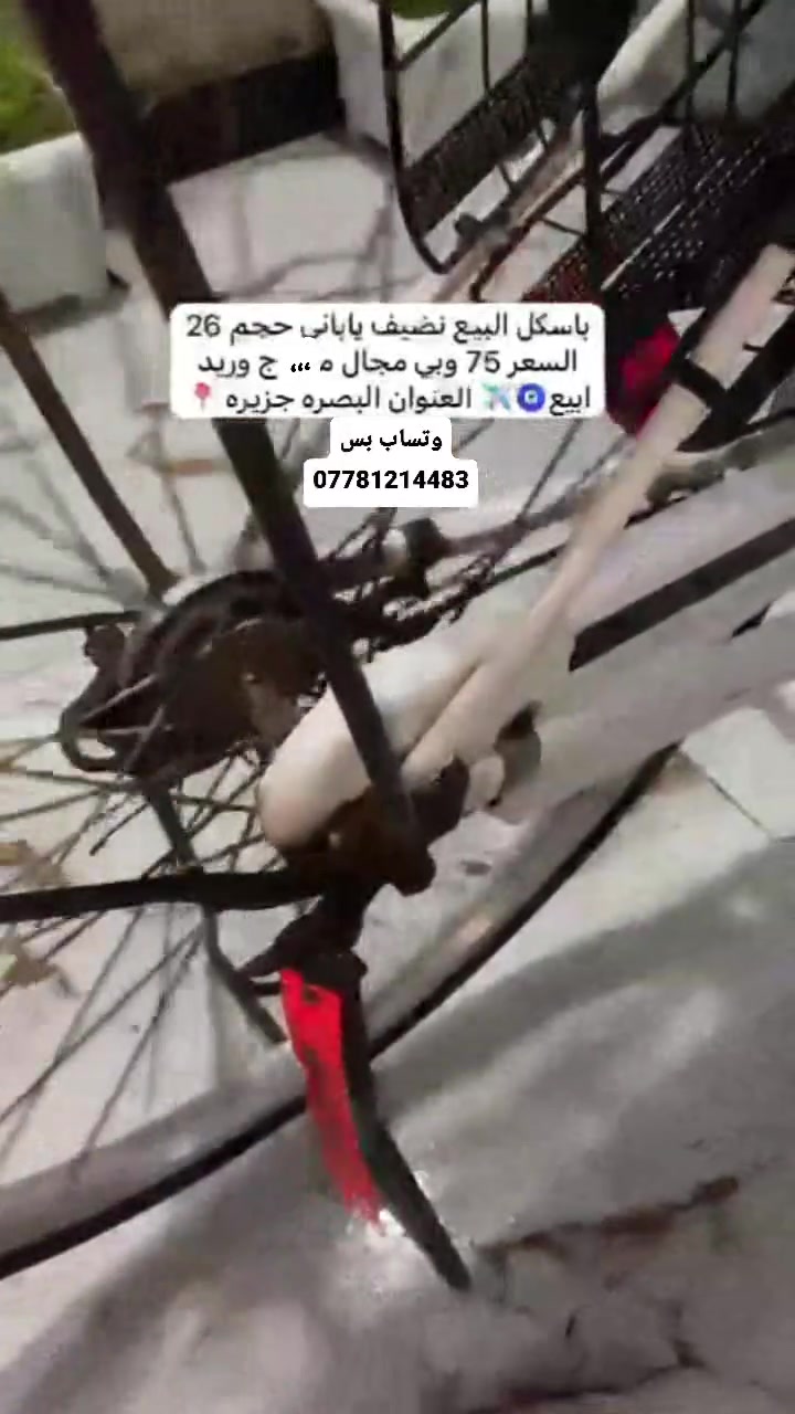 ***********واتساب بس البصره الجزيره
